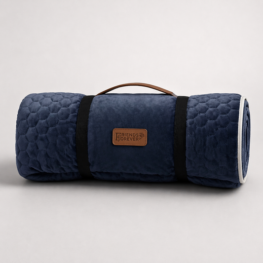 Outdoor Dog Bed Mat | Dog Blanket for Travel - Geo