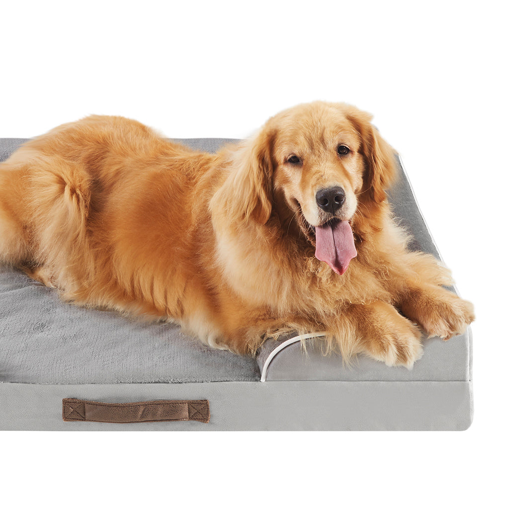 Orthopedic Dog Bed & Cat Bed | Dog Couch with Foam Bolster - Ally/Grey