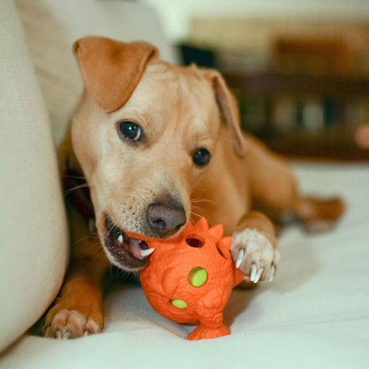 Dog Chew Toys | Tough Dog Toys - Dino