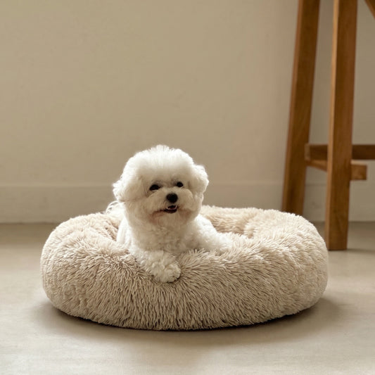 Calming Dog Bed & Cat Bed | Oval Pet Bed with Memory Foam - Serena/Tan