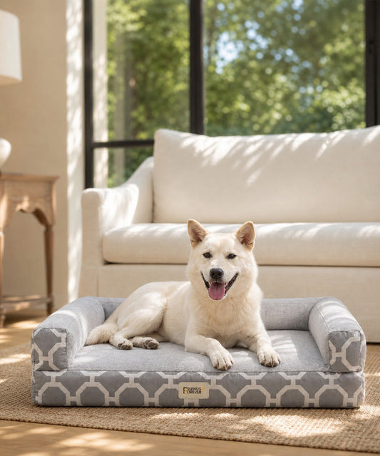 Cat Cube Ottoman Guide: Naps, Hideaways & Home Style