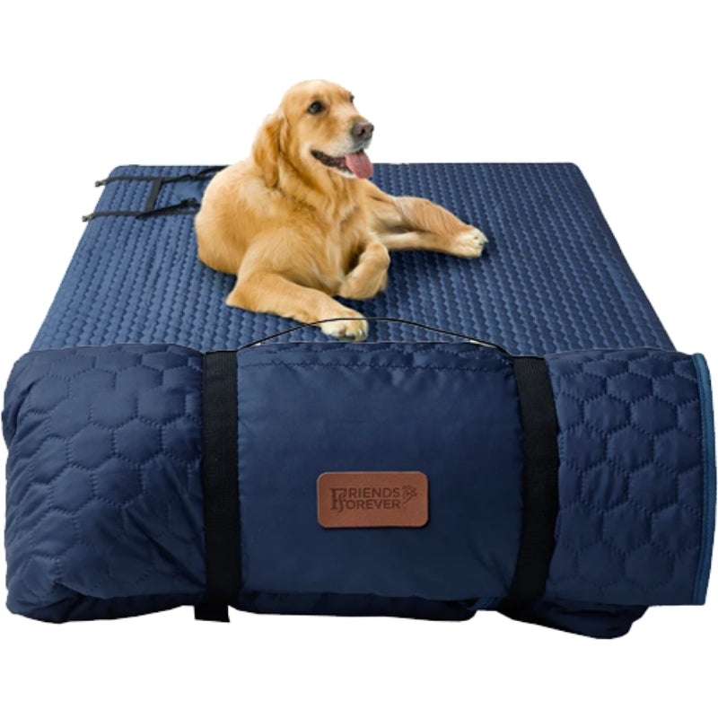 The Ultimate Walk Kit: Essential Outdoor Gear for Dog Walks, Hikes & Travel