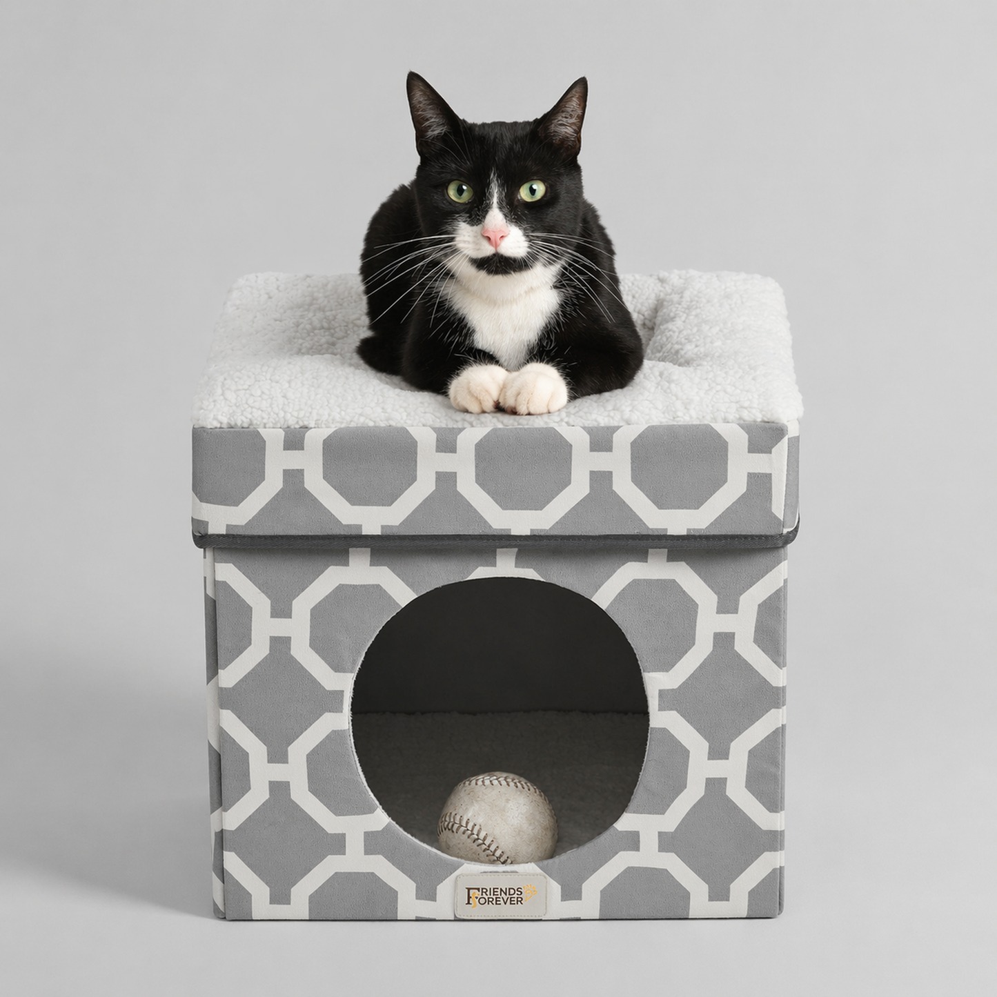 Cat House with Cat Bed | Collapsible Cat Cube Ottoman - Taylor