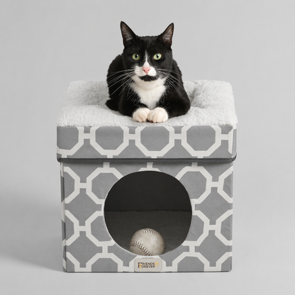 Cat House with Cat Bed | Collapsible Cat Cube Ottoman - Taylor