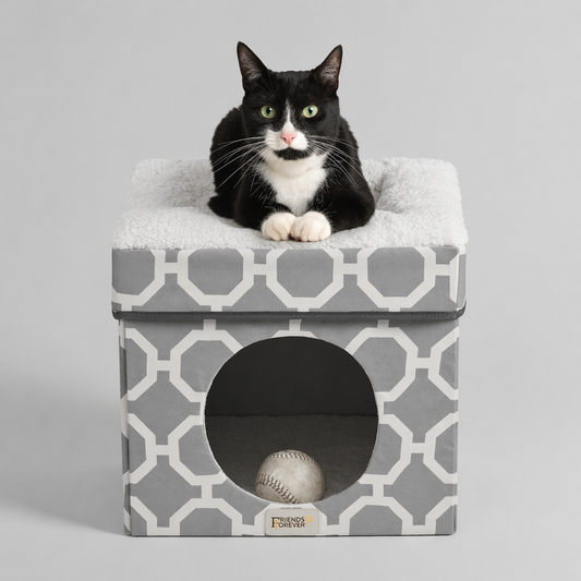 Cat House with Cat Bed | Collapsible Cat Cube Ottoman - Taylor