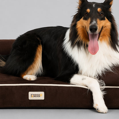 Orthopedic Dog Bed & Cat Bed | Memory Foam Dog Couch Sofa - Platinum