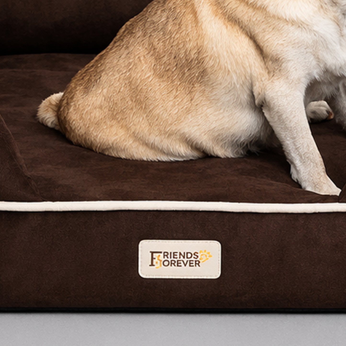 Orthopedic Dog Bed & Cat Bed | Memory Foam Dog Couch Sofa - Platinum