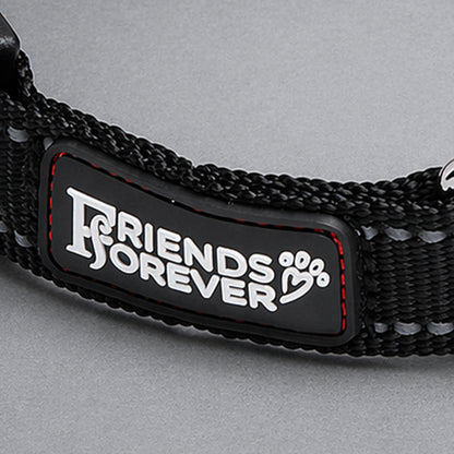 Slip Lead Dog Leash | 6 Feet Dog Rope Leash - Durable/Olive