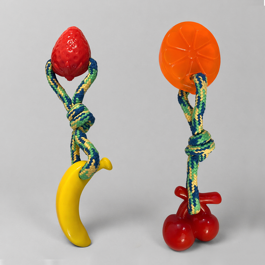 Dog Chew Toys | Dog Rope Toys - Orange and Banana