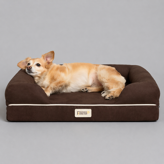 Chester Couch with Solid Memory Foam