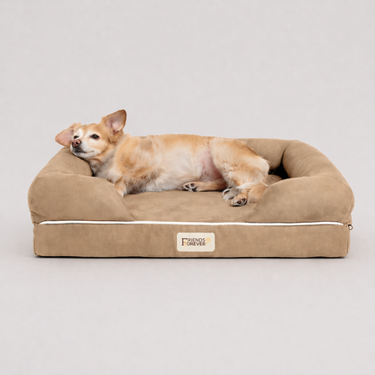Orthopedic Dog Bed & Cat Bed | Memory Foam Dog Couch Sofa - Platinum