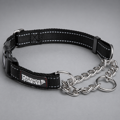 Martingale Collar | Reflective Adjustable Dog Collar with Stainless Steel Chain