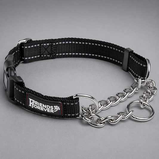 Martingale Collar | Reflective Adjustable Dog Collar with Stainless Steel Chain