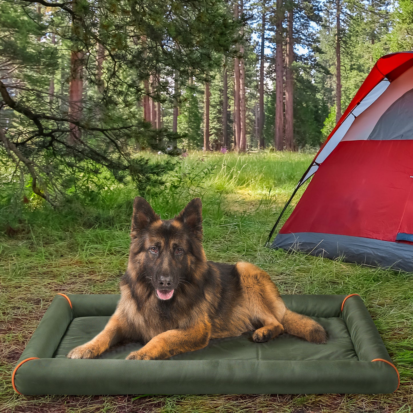 Bolster Dog Bed Crate Pad | Dog Crate Bed - Nova