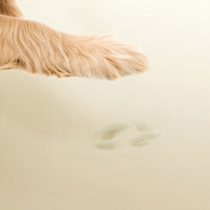 Orthopedic Dog Bed & Cat Bed | Dog Couch - Harper
