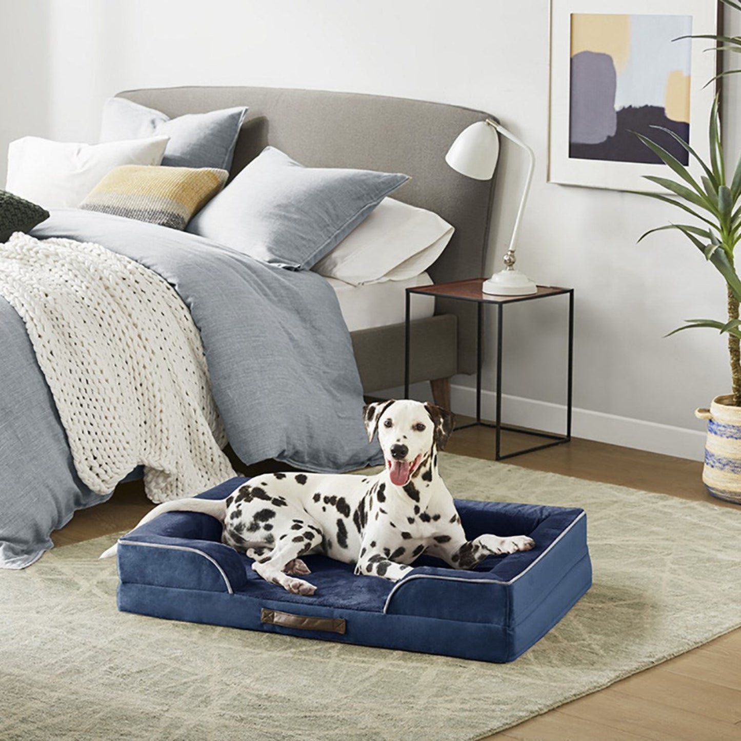 Orthopedic Dog Bed & Cat Bed | Dog Couch with Foam Bolster - Ally/Navy