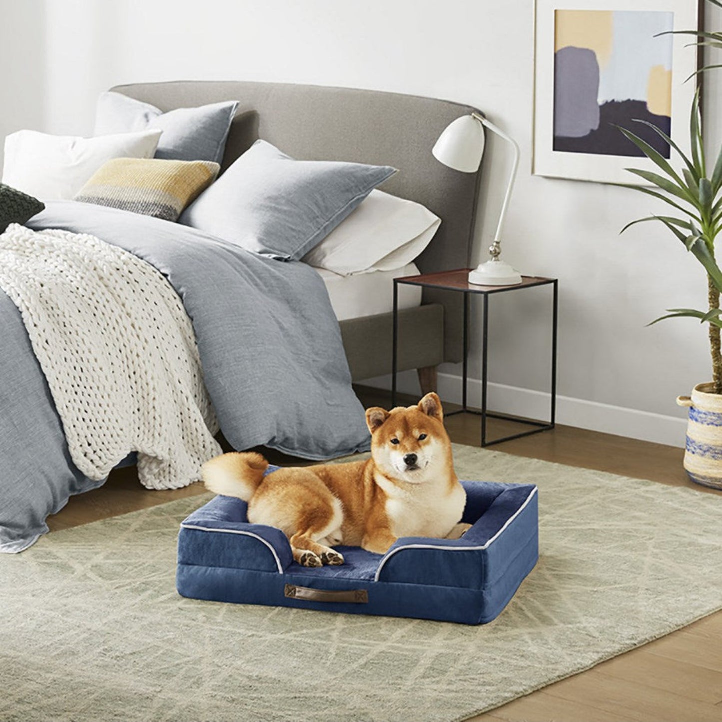 Orthopedic Dog Bed & Cat Bed | Dog Couch with Foam Bolster - Ally/Navy