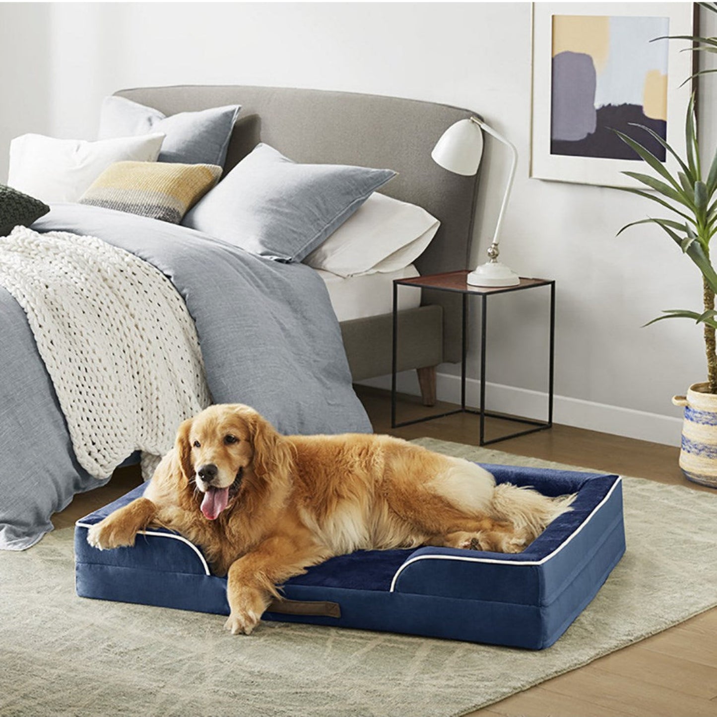 Orthopedic Dog Bed & Cat Bed | Dog Couch with Foam Bolster - Ally/Navy