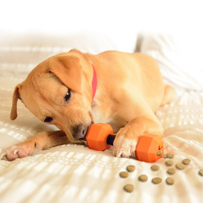 Dog Chew Toys | Treat Dispensing Dog Toys - Dumbbell