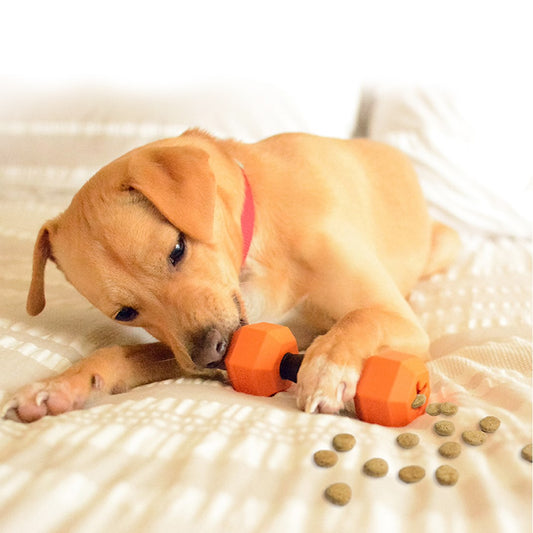 Dog Chew Toys | Treat Dispensing Dog Toys - Dumbbell