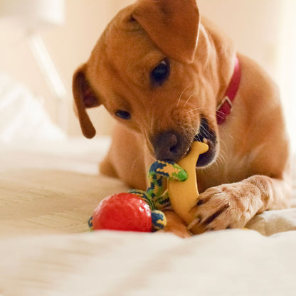 Dog Chew Toys | Dog Rope Toys - Orange and Banana