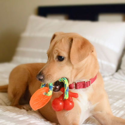 Dog Chew Toys | Dog Rope Toys - Orange and Banana
