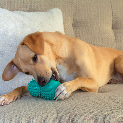 Dog Chew Toys | Squeaky Dog Toys  - Teal Hedgehog