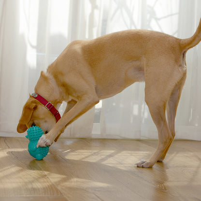 Dog Chew Toys | Squeaky Dog Toys  - Teal Hedgehog