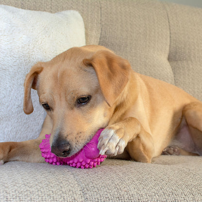 Dog Chew Toys | Squeaky Dog Toys  - Rose Red Hedgehog