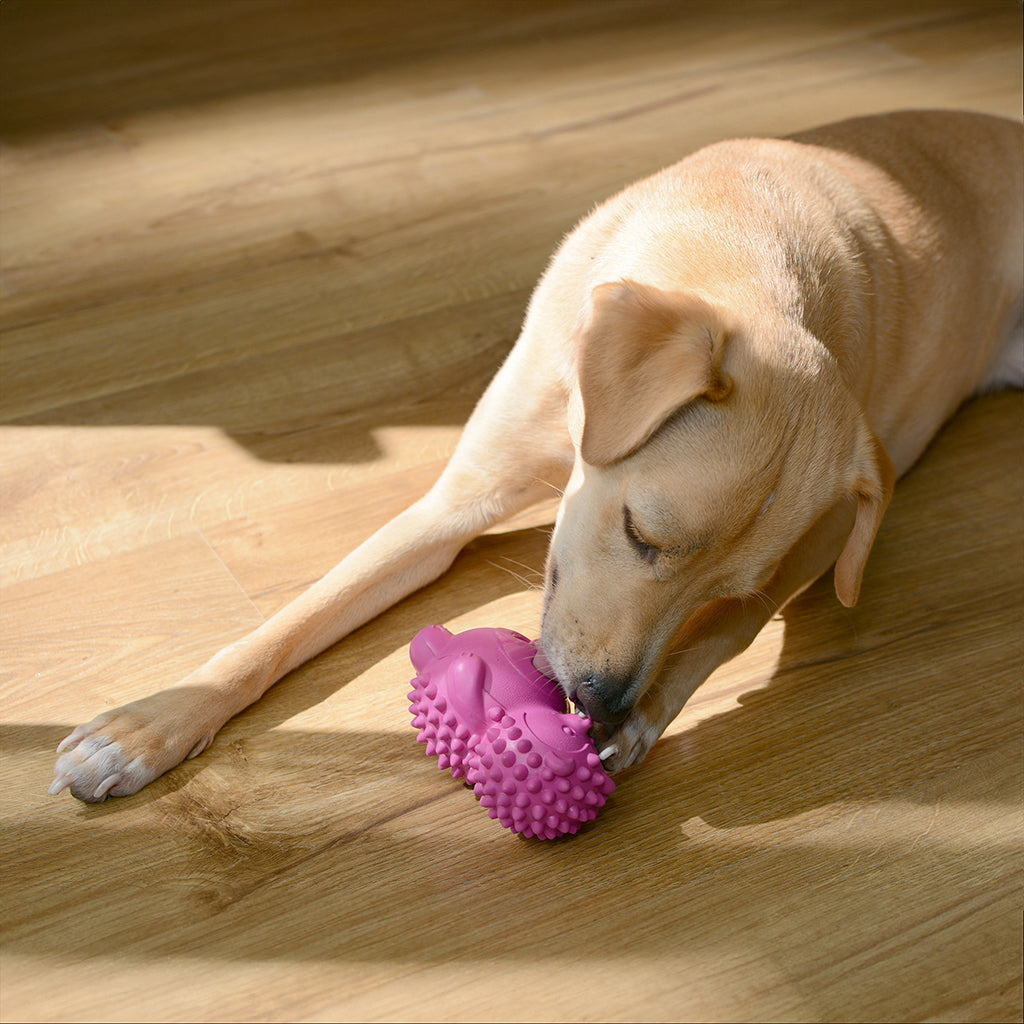 Dog Chew Toys | Squeaky Dog Toys  - Rose Red Hedgehog