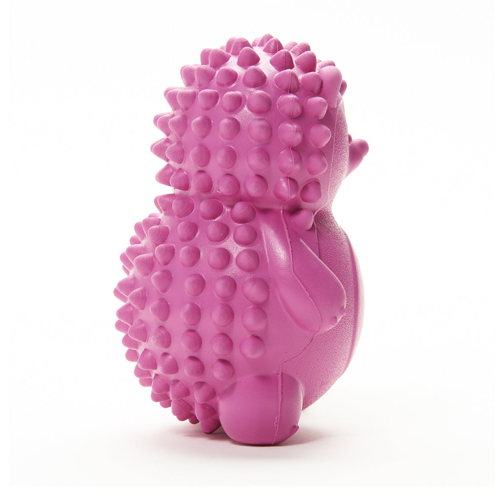 Dog Chew Toys | Squeaky Dog Toys  - Rose Red Hedgehog