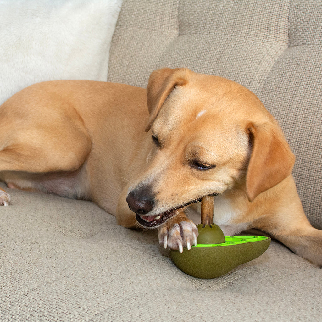 Dog Chew Toys | Bully Stick Holder Dog Toys  - Avocado