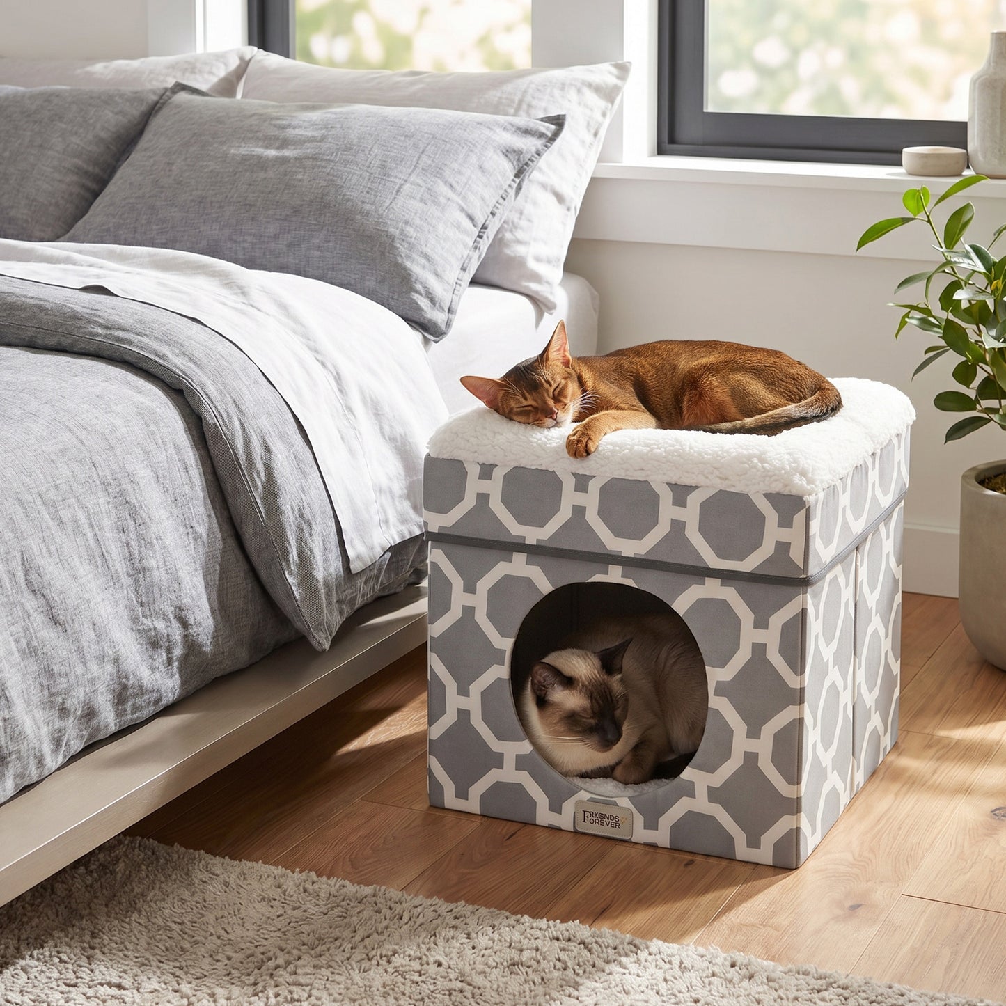 Cat House with Cat Bed | Collapsible Cat Cube Ottoman - Taylor