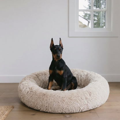 Calming Dog Bed & Cat Bed | Oval Pet Bed with Memory Foam - Serena/Tan