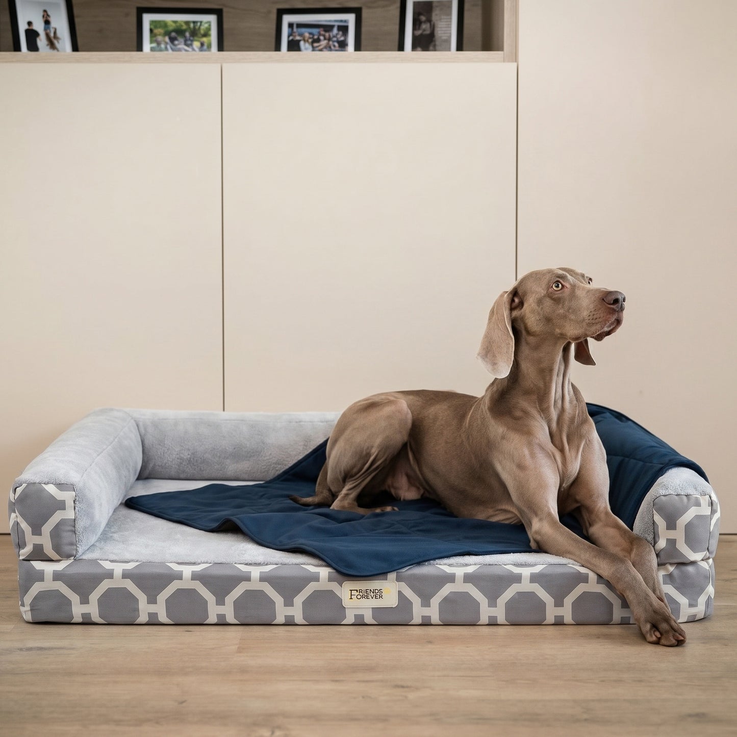 Orthopedic Dog Bed & Cat Bed | Dog Couch - Harper