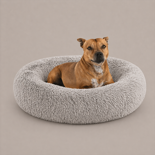 Serena Oval Bed