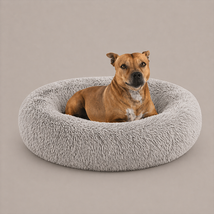 Calming Dog Bed & Cat Bed | Oval Pet Bed with Memory Foam - Serena/Grey