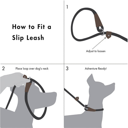 Slip Lead Dog Leash | 6 Feet Dog Rope Leash - Durable/Olive