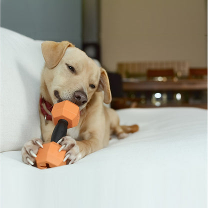 Dog Chew Toys | Treat Dispensing Dog Toys - Dumbbell