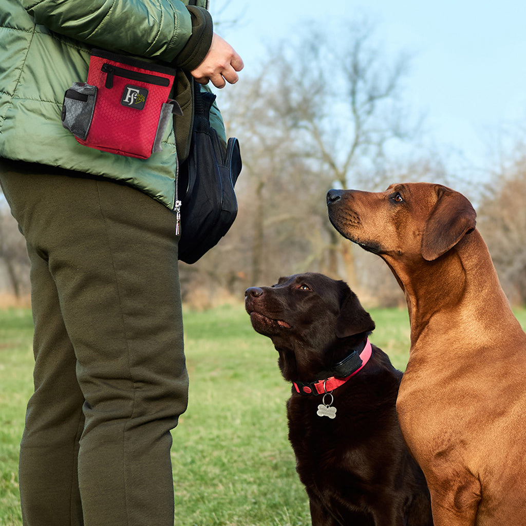 Dog Treat Pouch for Training with Dog Poop Bag Holder - Jumpi