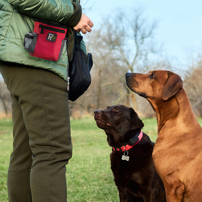 Dog Treat Pouch for Training with Dog Poop Bag Holder - Jumpi