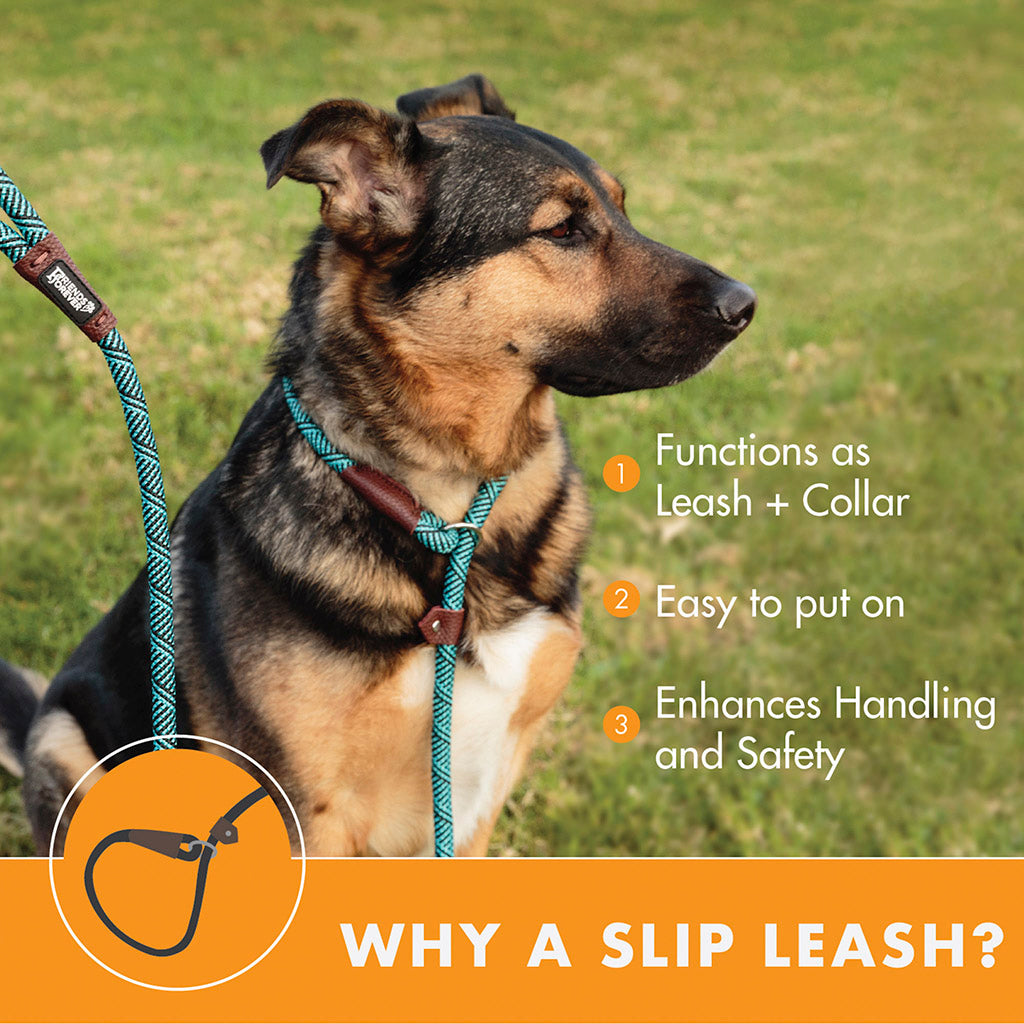 Slip Lead Dog Leash | 6 Feet Dog Rope Leash - Durable/Red