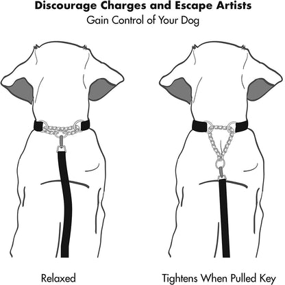 Martingale Collar | Reflective Adjustable Dog Collar with Stainless Steel Chain