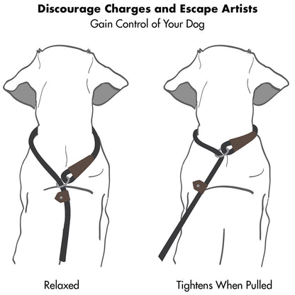 Slip Lead Dog Leash | 6 Feet Dog Rope Leash - Durable/Olive