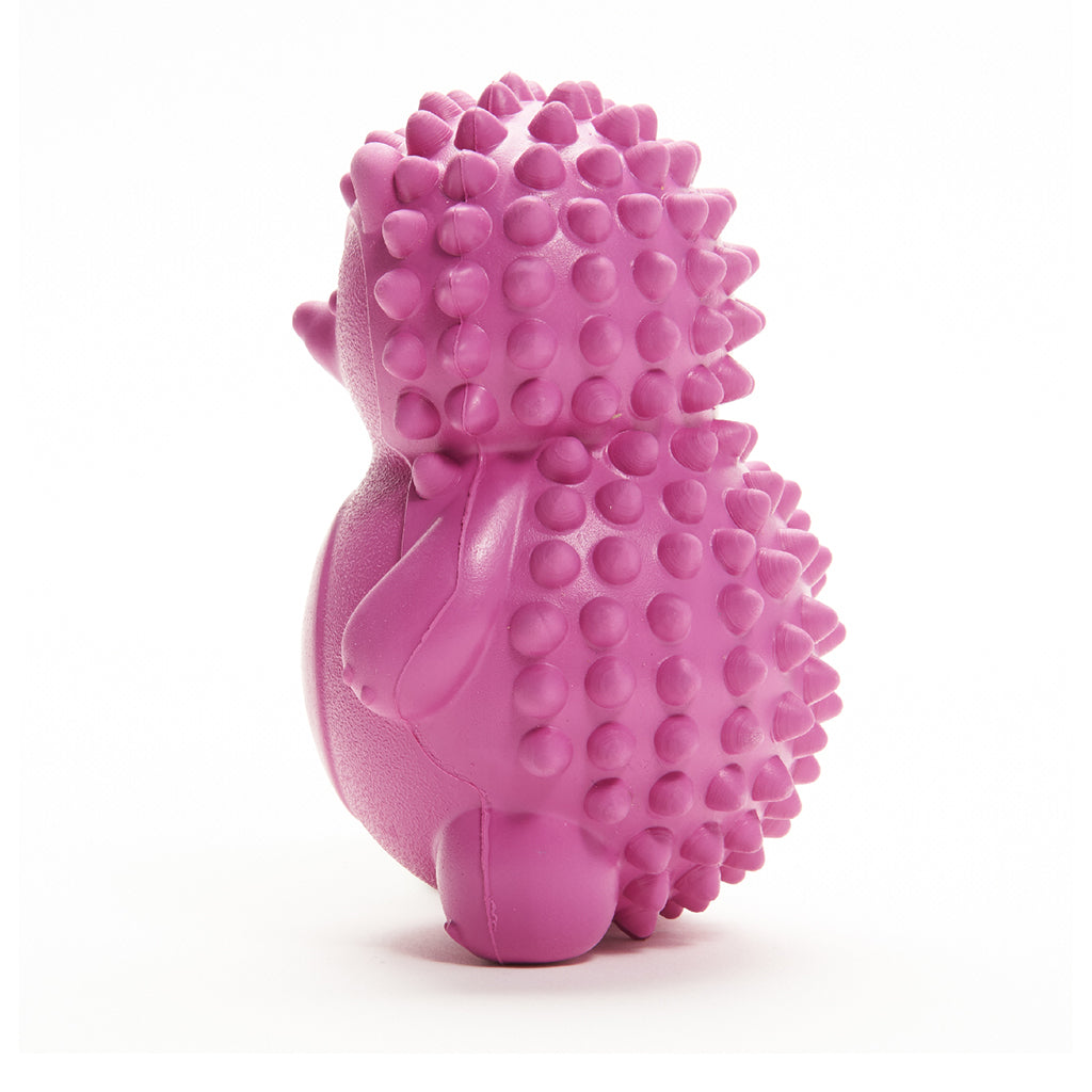 Dog Chew Toys | Squeaky Dog Toys  - Rose Red Hedgehog